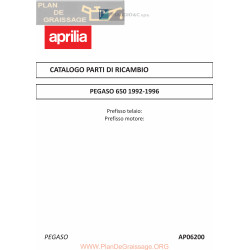 Aprilia Pegaso 650 92 96