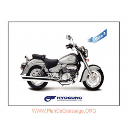 Hyosung Gv 125 Cat Parts List