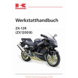 Kawasaki Zx 12 R B 2003 Manual De Reparatie