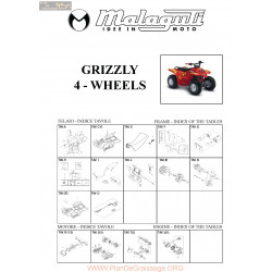 Malaguti R0089 Grizzly 4 Wheels Atv