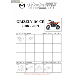 Malaguti R0092 Grizzly 10 Ce 2008 2009