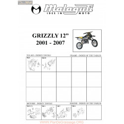 Malaguti R0094 Grizzly 12 2001 2007