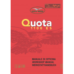 Moto Guzzi Quota 1100 Es 2002 Manual De Reparatie