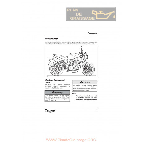 Triumph Speed Triple 1050 2010 Uk