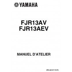 Yamaha Fjr 1300 2006 S3p6w1af