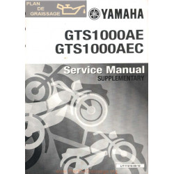 Yamaha Gts 1000 Ae Aec Suppementaire