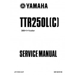 Yamaha Ttr 250 L Manual De Reparatie