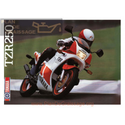 Yamaha Tzr 250 Brochure Info Tech