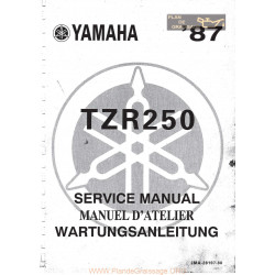 Yamaha Tzr 250 Manual De Reparatie