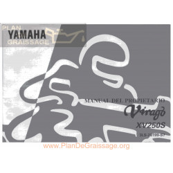 Yamaha Xv 250 S Virago Manual De Intretinere