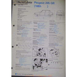 Peugeot 205 Gr Techni 1984