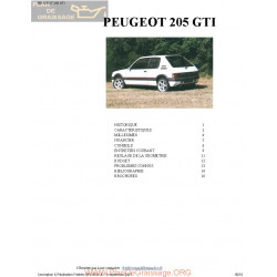 Peugeot 205 Gti