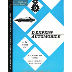 Peugeot 404 Expert Auto 1967