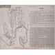 Hudson Super Six 6volt Schema Electrique 1919 Delco Plate 197