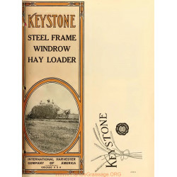 International Keystone Steel Frame Windrow Hay Loader