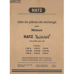 Hatz Diesel E 80 85 89 Piece Rechange