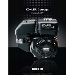 Kohler Courage Manuel Entretien