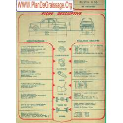 Austin A55 Variantes Fd