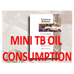 Mini Tb Oil Consumption