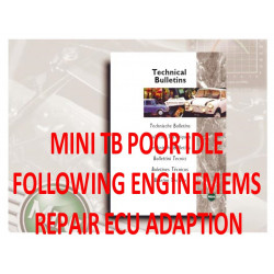Mini Tb Poor Idle Following Enginemems Repair Ecu Adaption