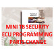 Mini Tb Security Ecu Programming Parts Change
