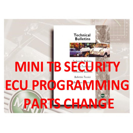 Mini Tb Security Ecu Programming Parts Change