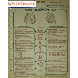Peugeot 404 Njection Essence 203
