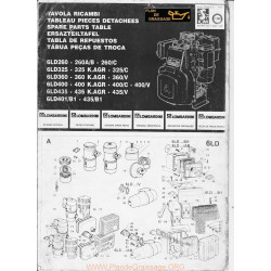 Lombardini Serie 6ld Pieces Moteur